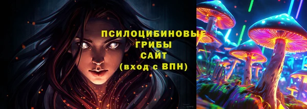 ГАЛЛЮЦИНОГЕННЫЕ ГРИБЫ Верхний Тагил